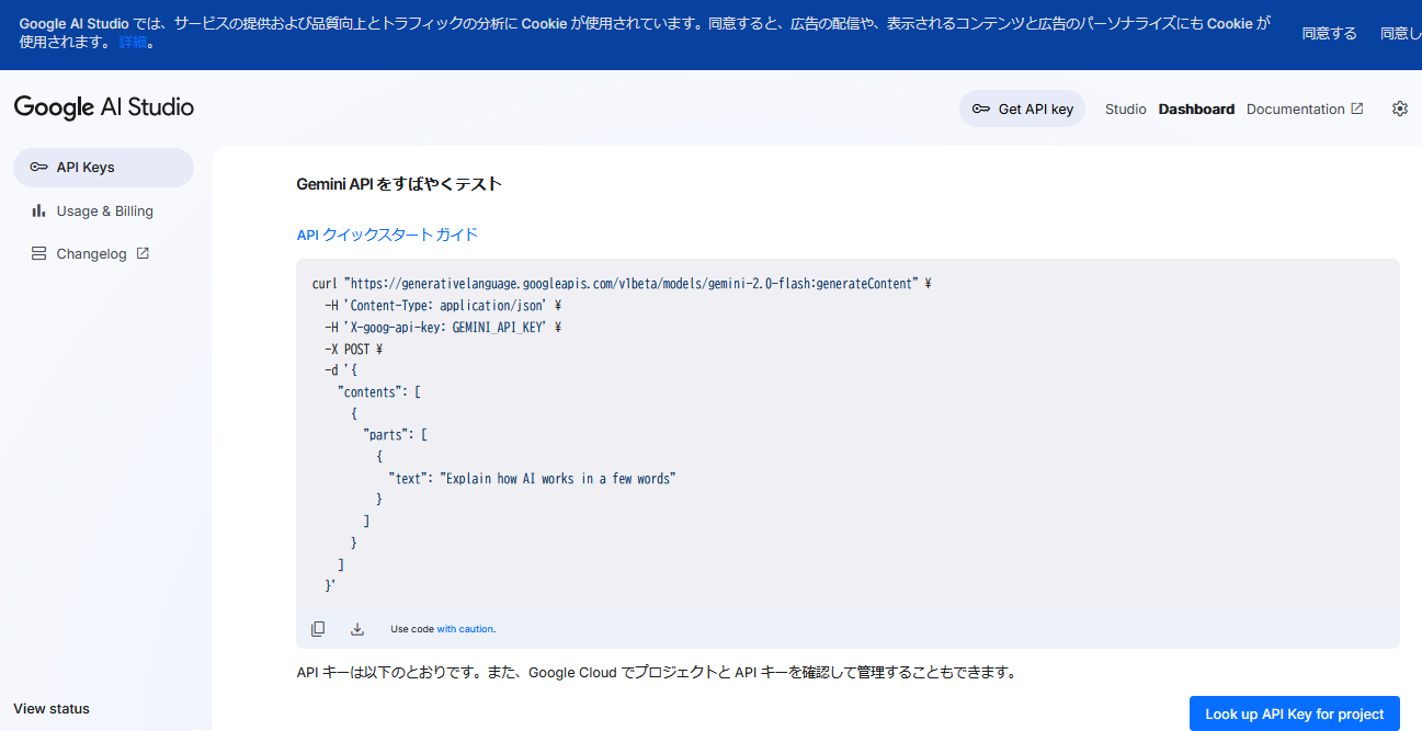 Gemini APIキー取得支援ツール