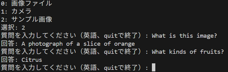 BLIP-2 による Visual Question Answering
