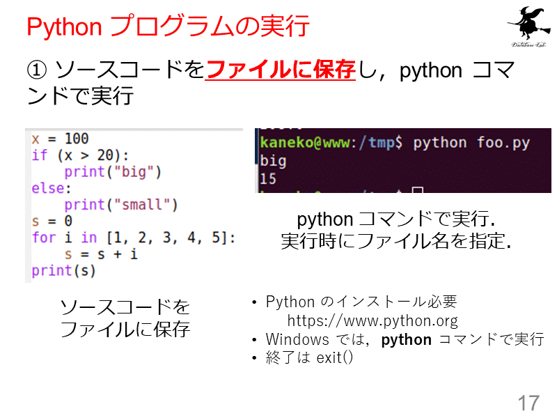 Python プログラムの実行